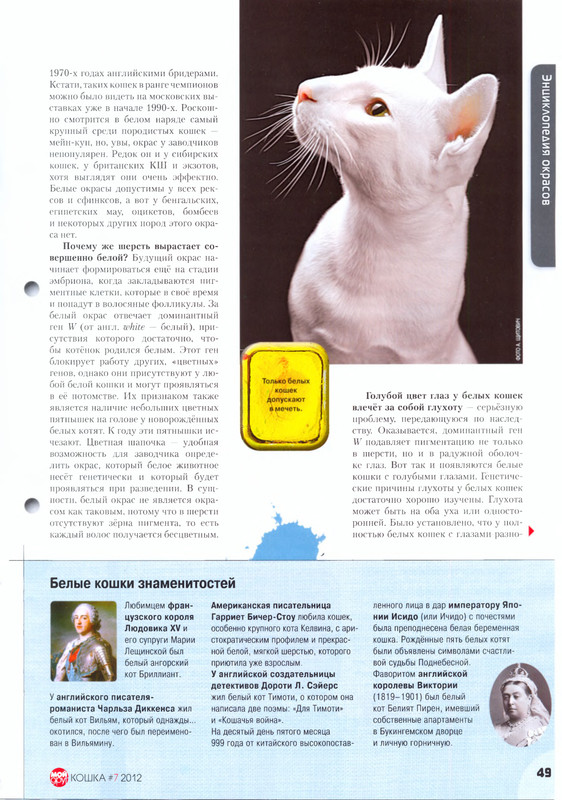 Moj-drug-koshka-2012-07-51