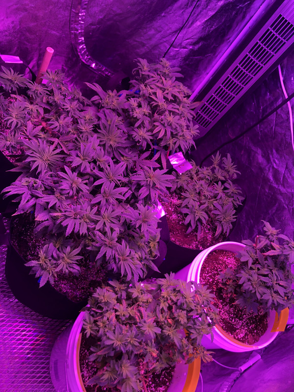 AD650B66-B847-4C0E-A94E-25A610131969