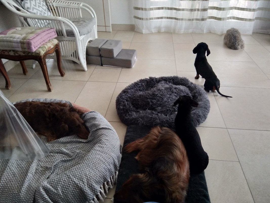 [Image: IMG-20201105-143607.jpg]