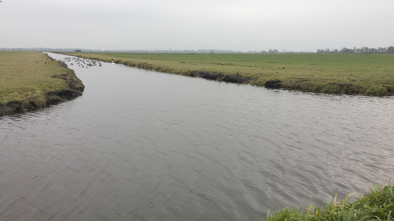 854B606D-E296-4B63-8475-5A2781EA55AE