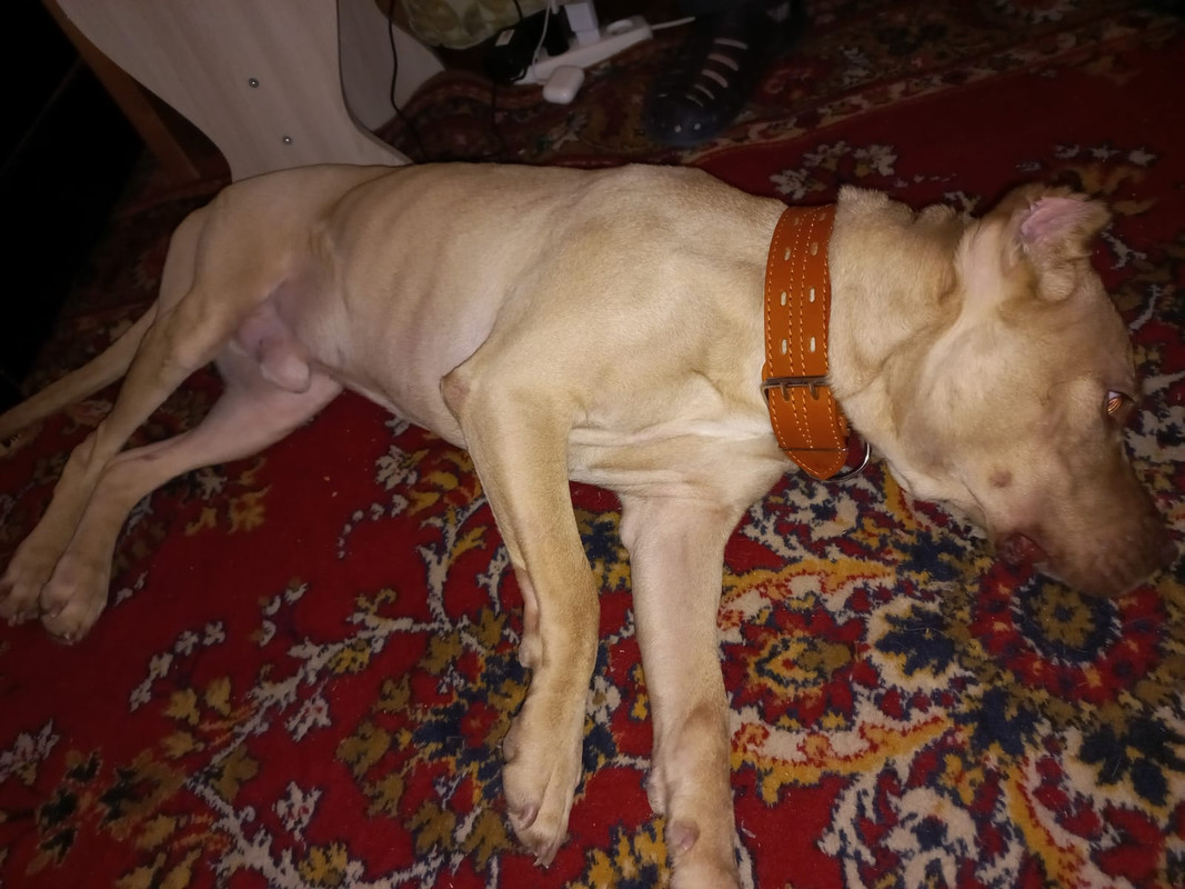 B4C604A1-BB85-4F92-BB5B-39F943E1DBD5