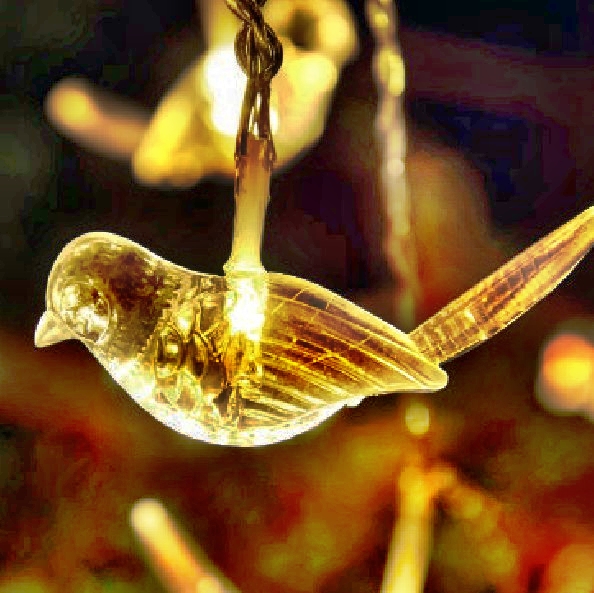 Solar String Light : 80479