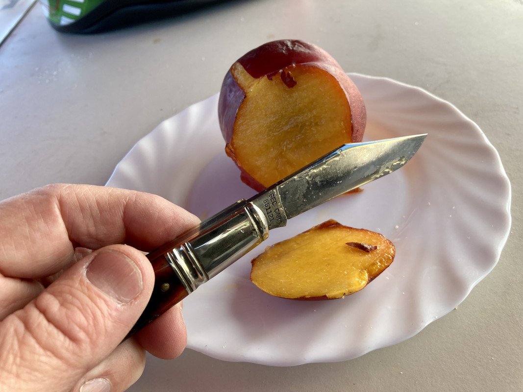 2E6A4C77-2F60-432C-95E3-DDECF380D58D