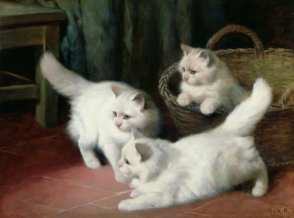 2-Arthur-Heyer-Three-White-Angora-Kittens-Meister-Drucke-256404