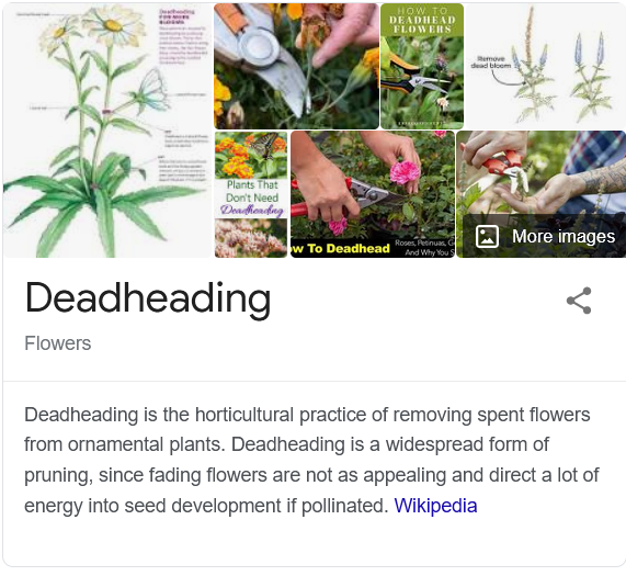 Deadheading.png