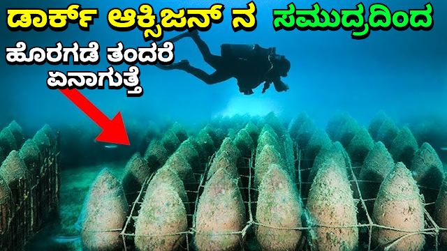 ಡಾರ್ಕ್ ಆಕ್ಸಿಜನ್ ಕಲ್ಪನೆ