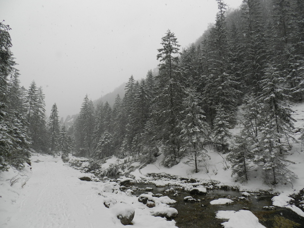 021 - DSCN7480 (Milady)