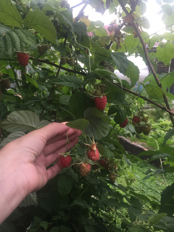 A4D934C7-FD24-4F22-950C-C1A11F0611A1