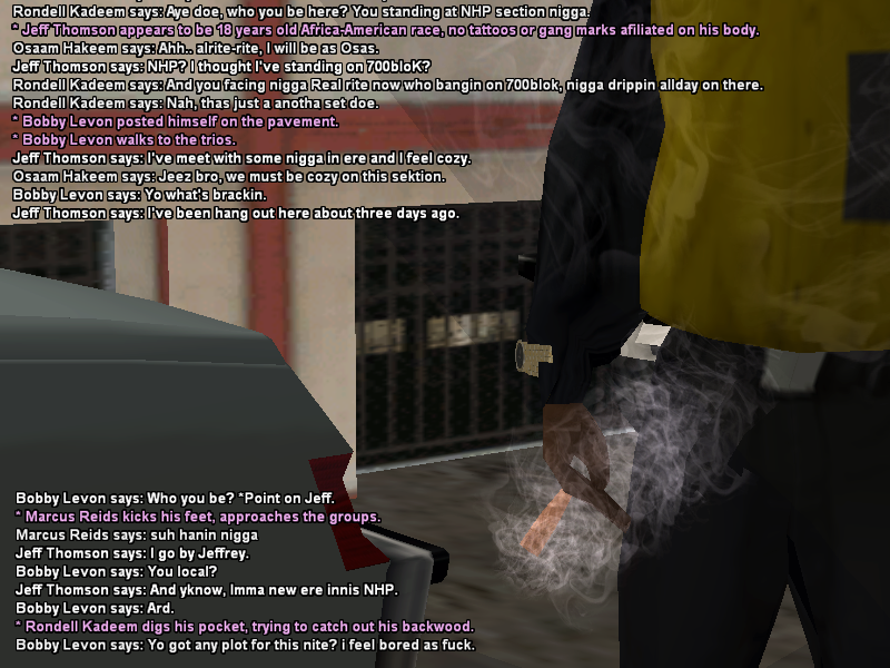 SS1.png