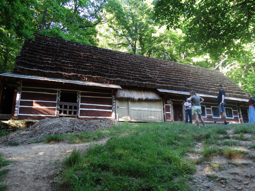 139 - DSC01363 (Milady)