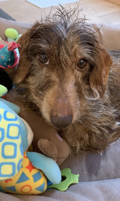 [Image: 3551-CE01-C36-E-4922-9-F0-A-CCD7-ABAC459-F.jpg]