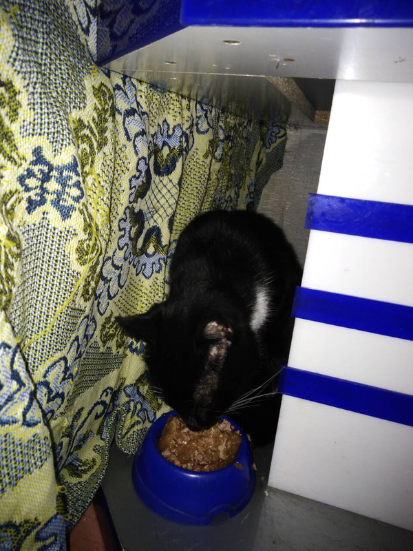 3E8A12E0-2375-4A77-BDA8-DC828D534A41