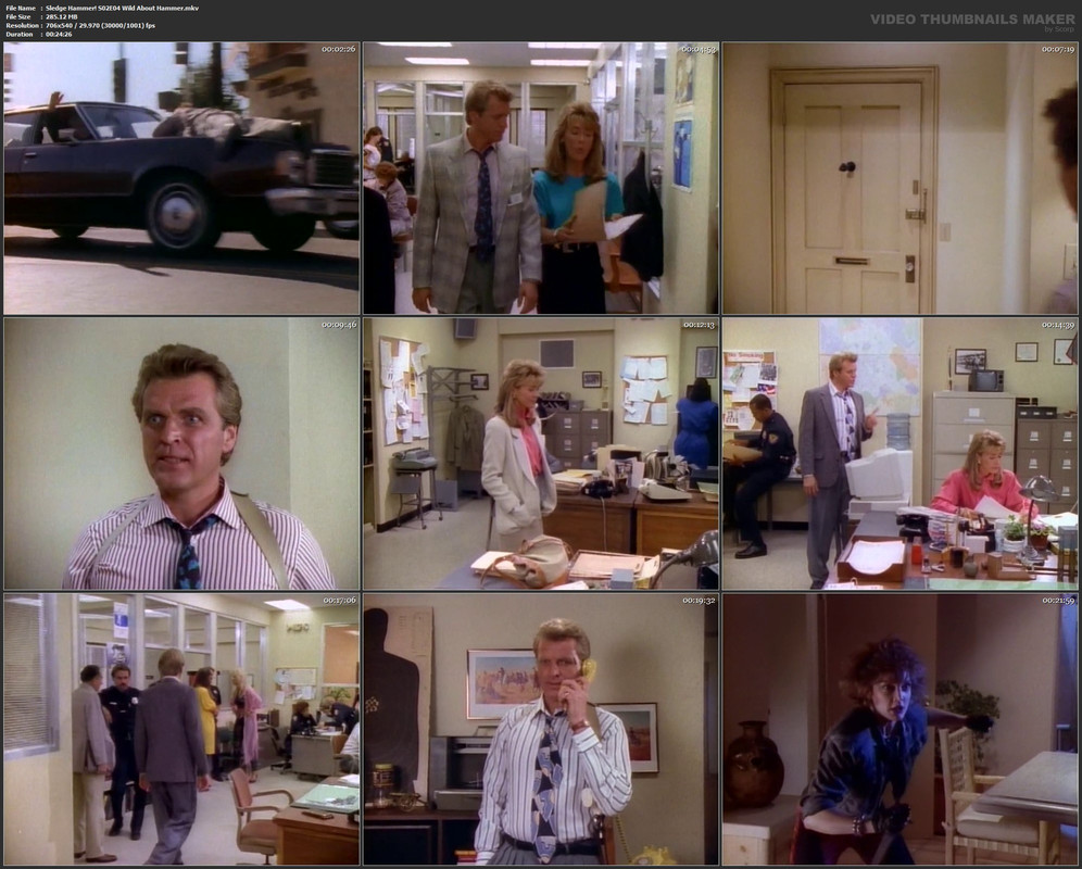 Sledge Hammer! S02E04 Wild About Hammer.mkv