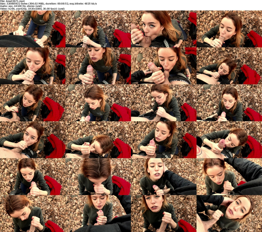 22082024110212screenshot