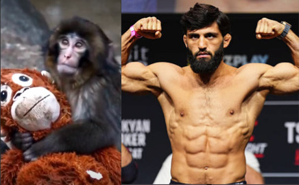 Арман Царукян и Андрю Тейт се трогнаха от маймунката Пънч