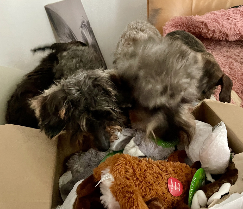 [Image: IMG-1560.jpg]