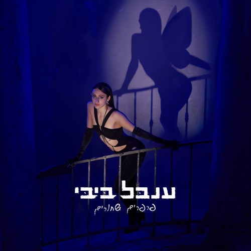 תמונה