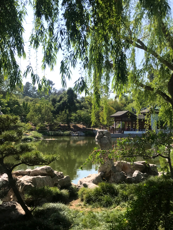 Chinese garden at the Huntington 