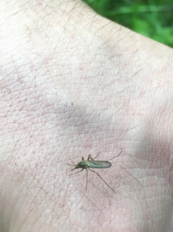 332A07BF-1A1F-4B08-BDA8-F0EB4550883B