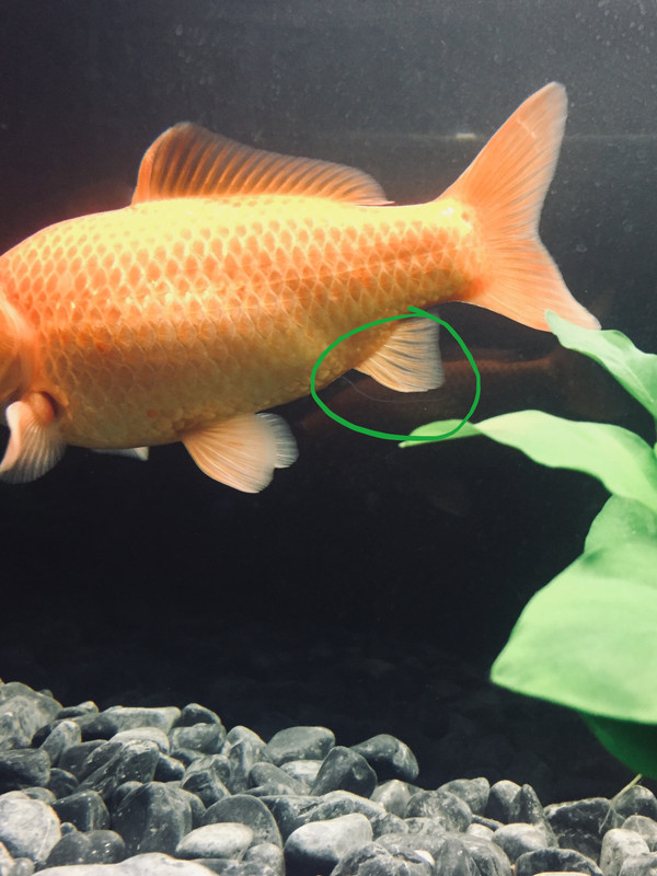 7CD4BC85-0149-4121-923D-FB9A902BC89F