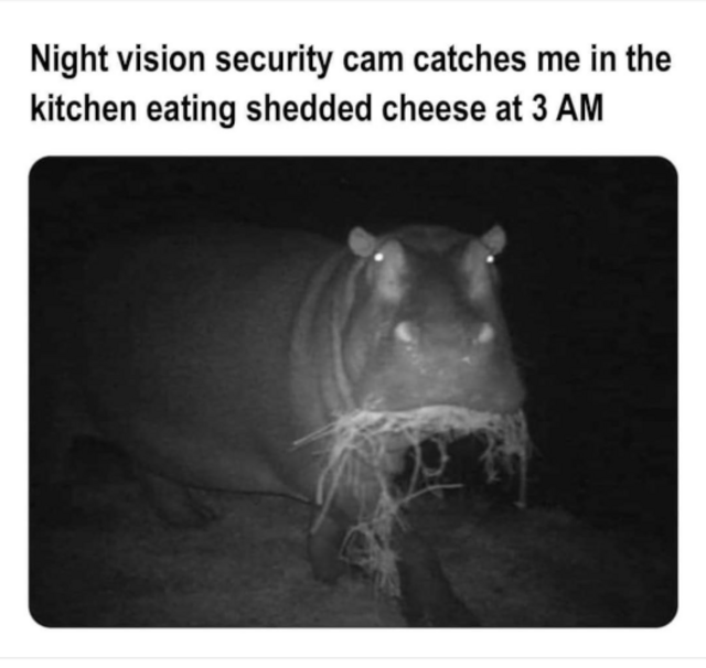 12.png
