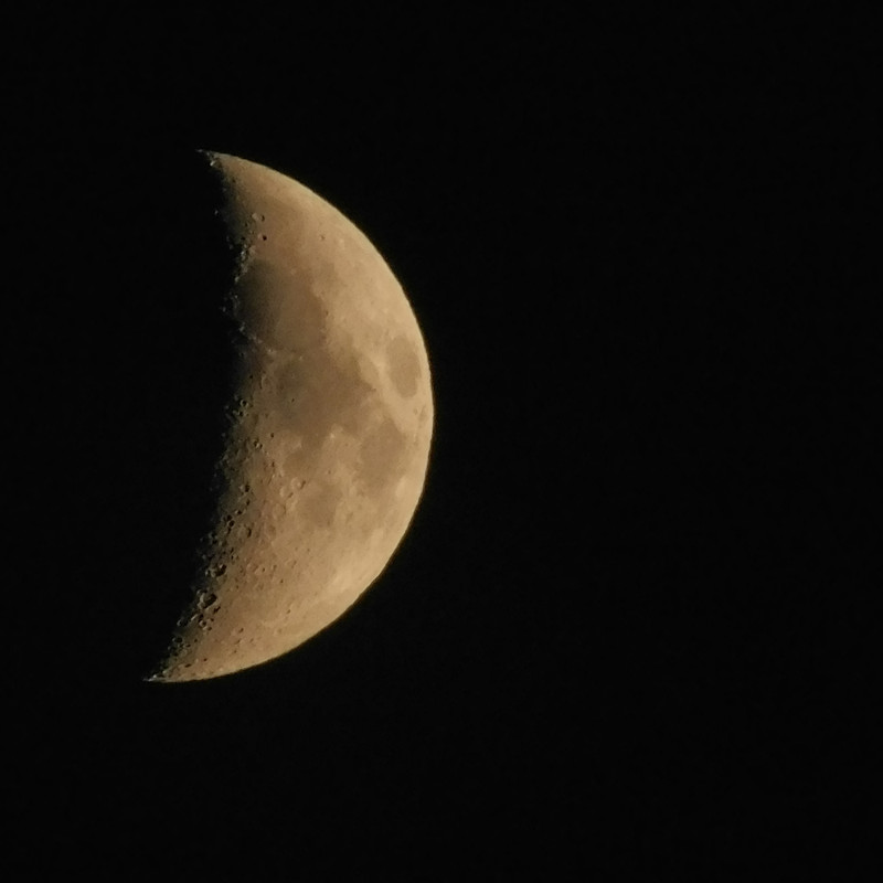 Дачное июль 203 и барби 045