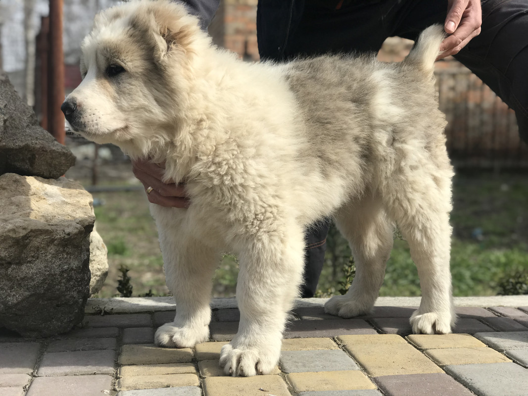 A55BE654-3807-43E1-BE4B-74729294A449