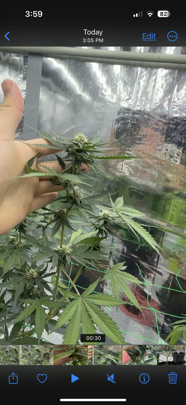 A7E1CE14-3038-47A9-ADB3-0A80870537BD