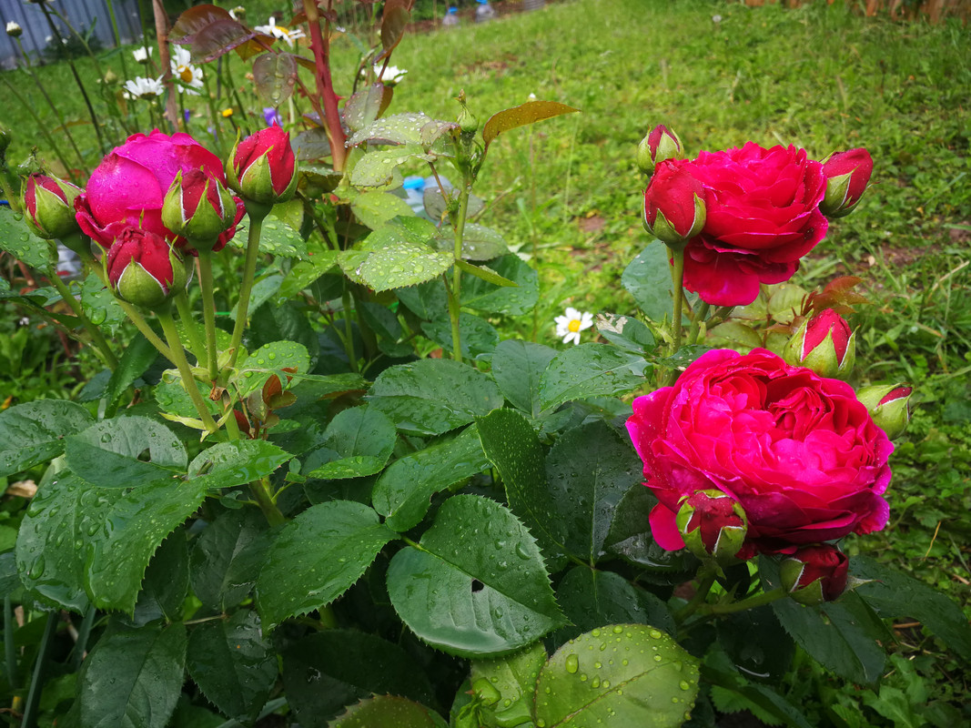 IMG_20240530_185113