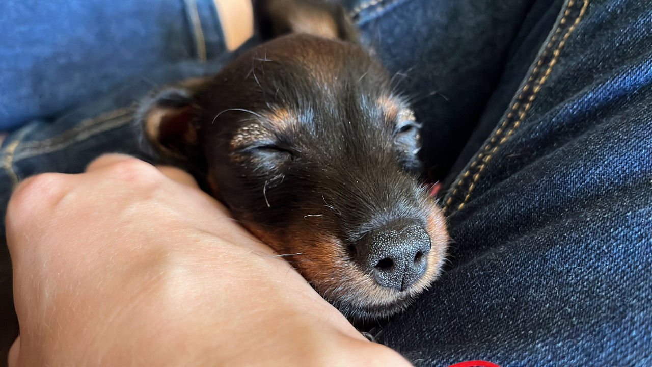 EC3FAB03-7ABE-479E-8967-E175034C063B