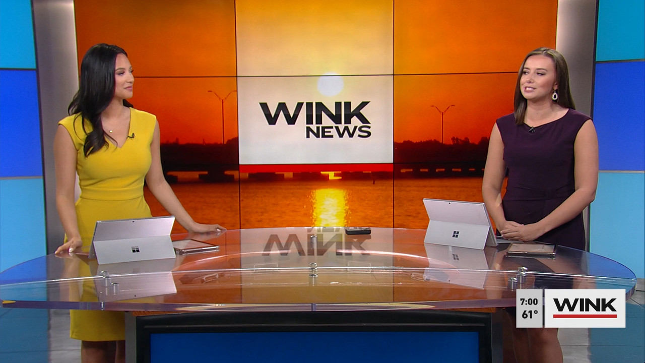 03.20 - 11.00.00 - WINK News at 7 00 a.m. Saturday..ts_snapshot_00.01.55.296