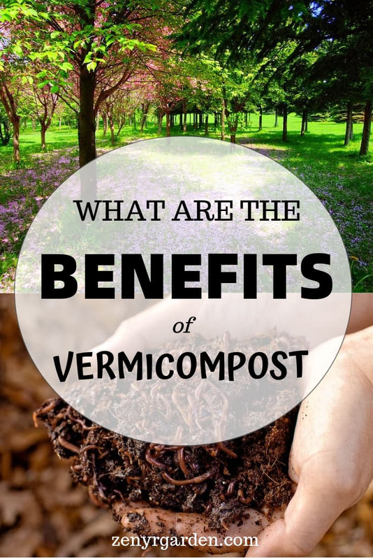 what-are-the-benefits-of-vermicompost-pin.jpg