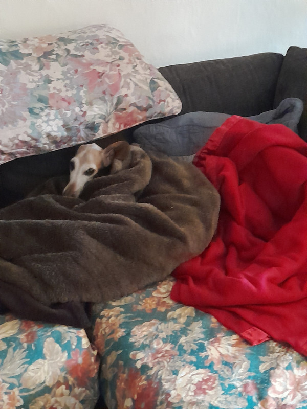 [Image: 20241012-151816.jpg]