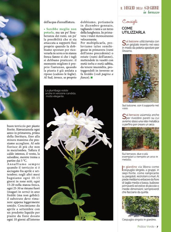 Pol Ver Giu 2022 (2)