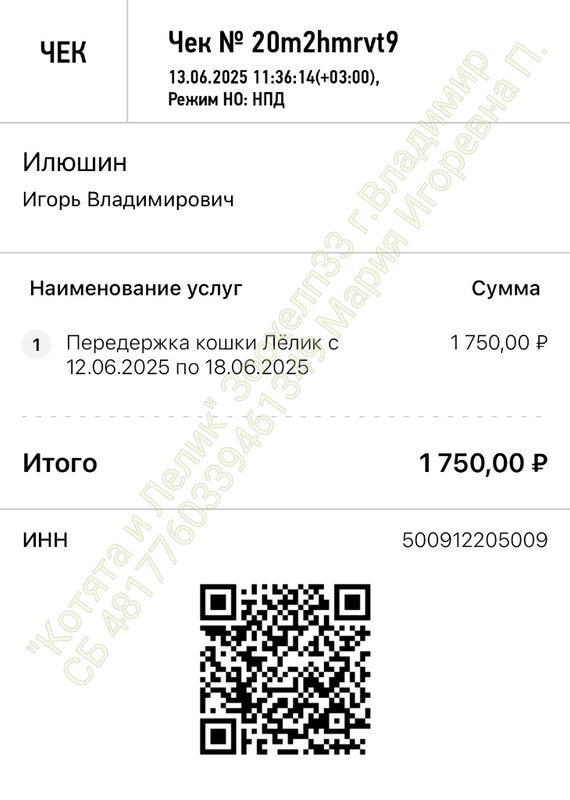 i0j7q6719CbpkgFOlgLmMjROjTK7ZGe5bdcAlTcfrEt8JS-C8ahAp0ehYVrGfrRkbbJnb5NR-k929gi0lDxxch4l