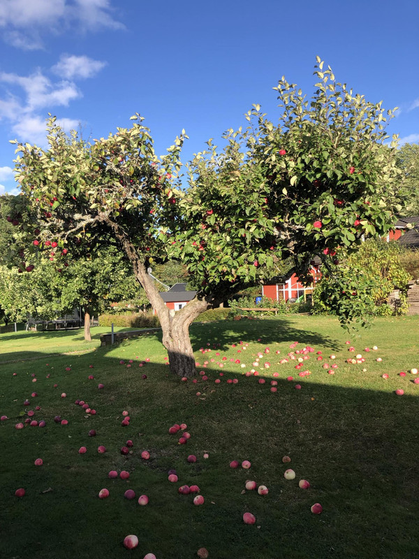 oCYb_948
