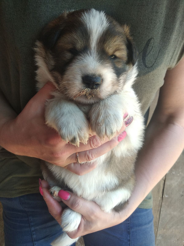 изображение_viber_2020-06-12_20-00-30