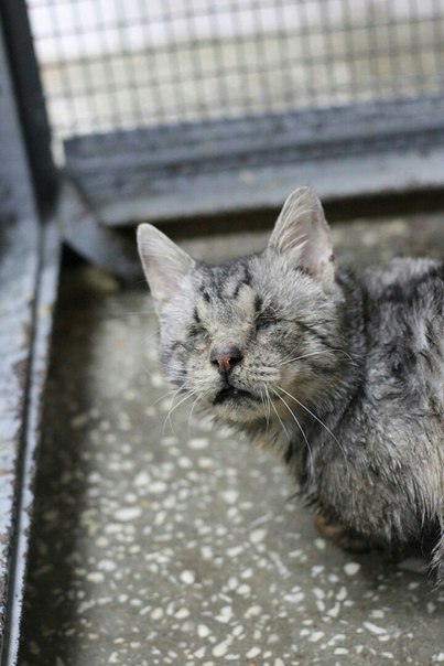 6B4F8096-B0DF-4500-8876-C6A444A33A00