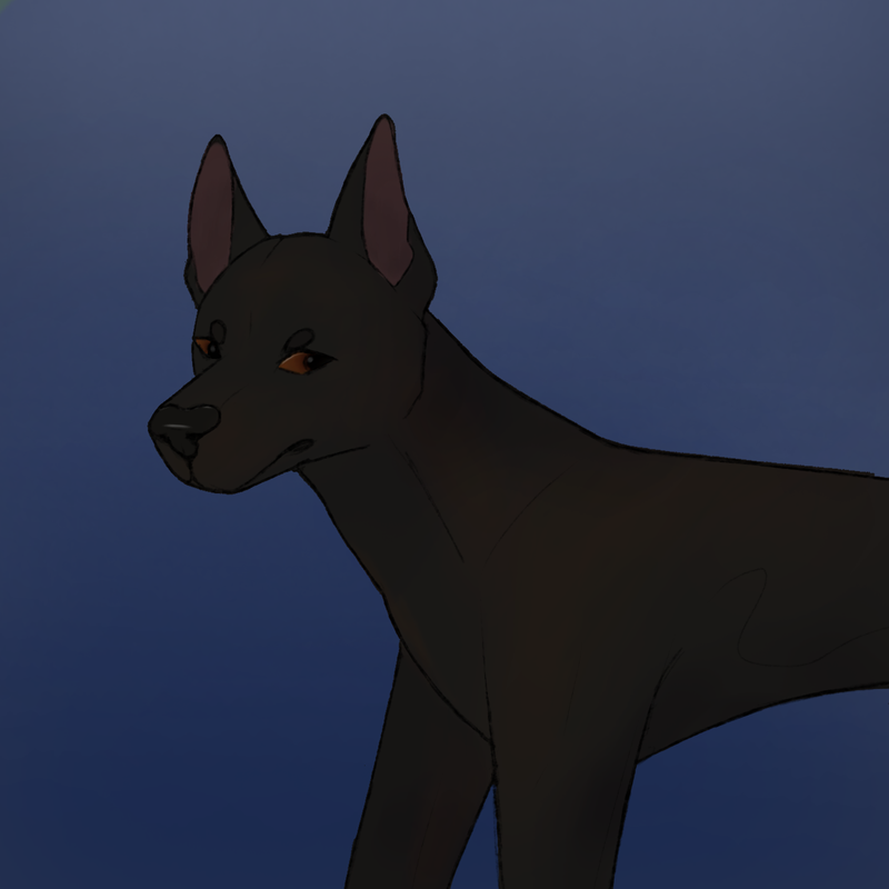 6B9D3B10-8238-4FD7-918D-1D5E42E353A3