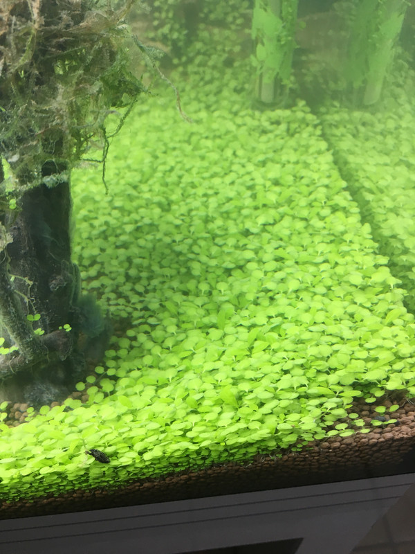 3CA4B602-C8AA-4607-9AE0-9075469C3CB4