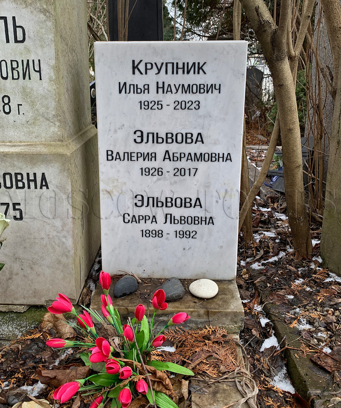 krupnik-in