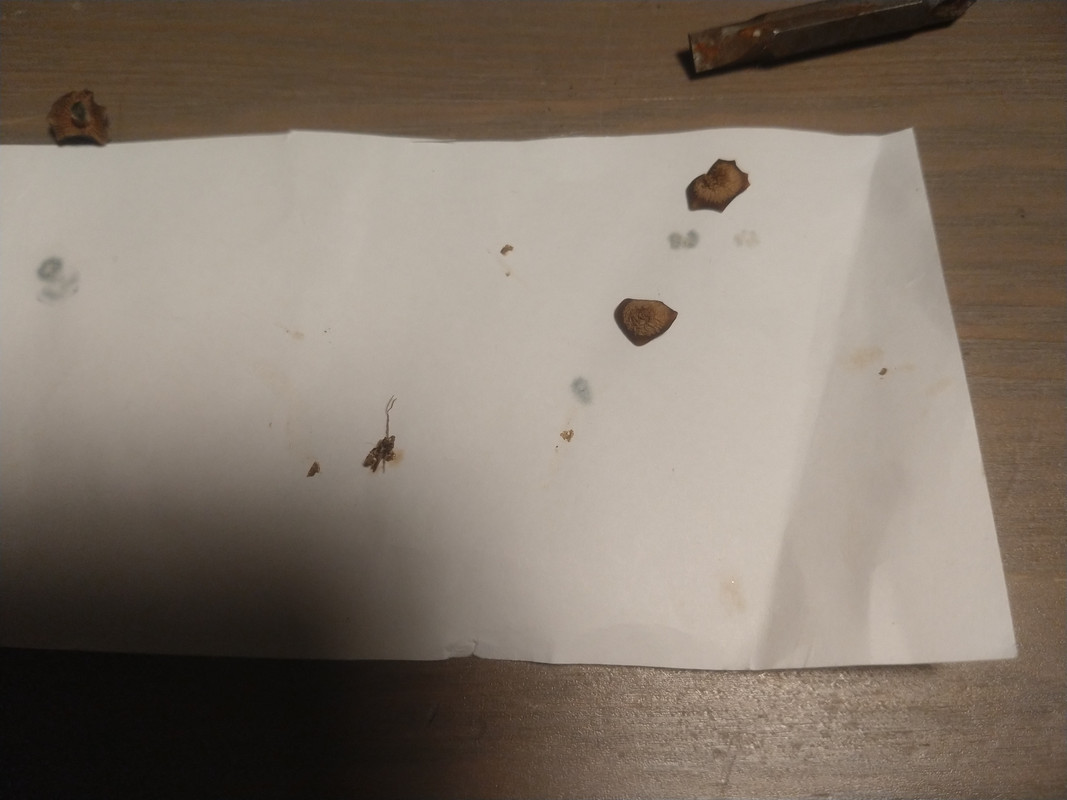 16072335943843278264743135552372