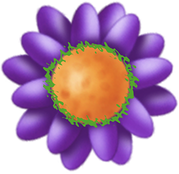 KBK_InTheSpring (128)