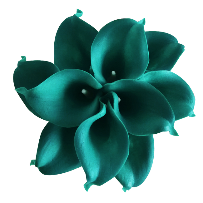 PeacockDreams_MM_Element (5)