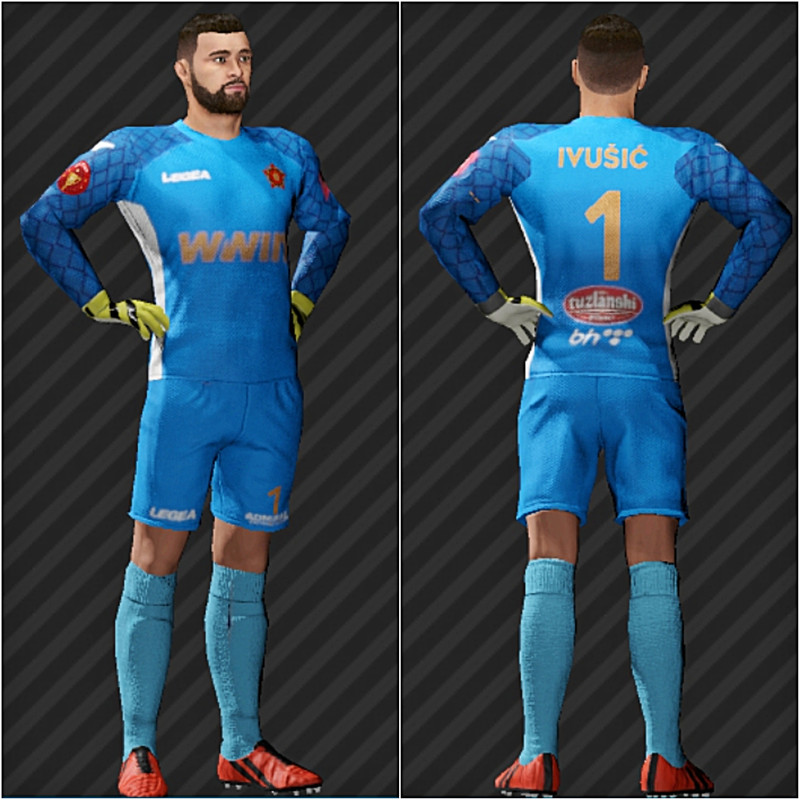 slika
