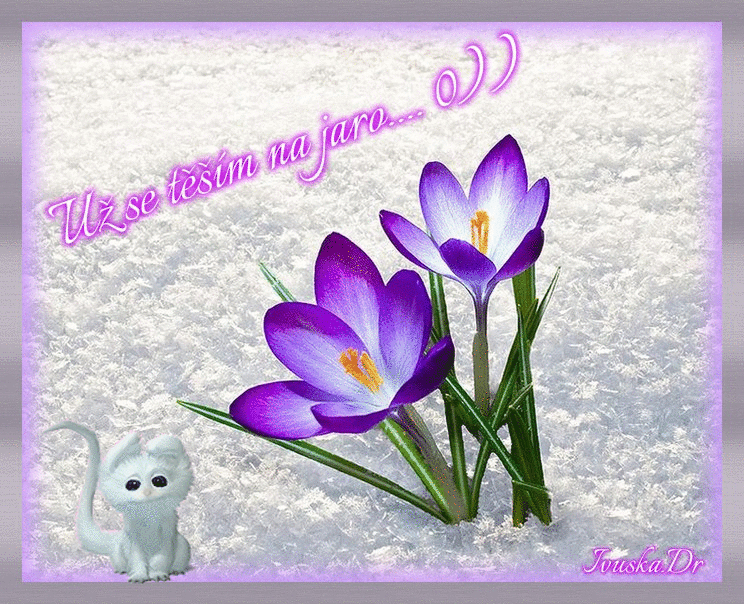 U-se-t-m-na-jaro.gif