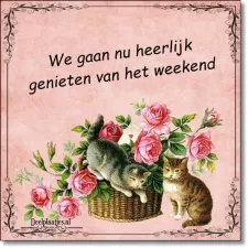 fb-deelplaatjes-nl-anette-weekend-487674