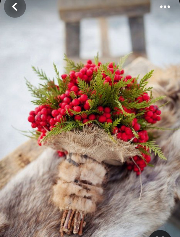 Screenshot_20231122_230646_Pinterest