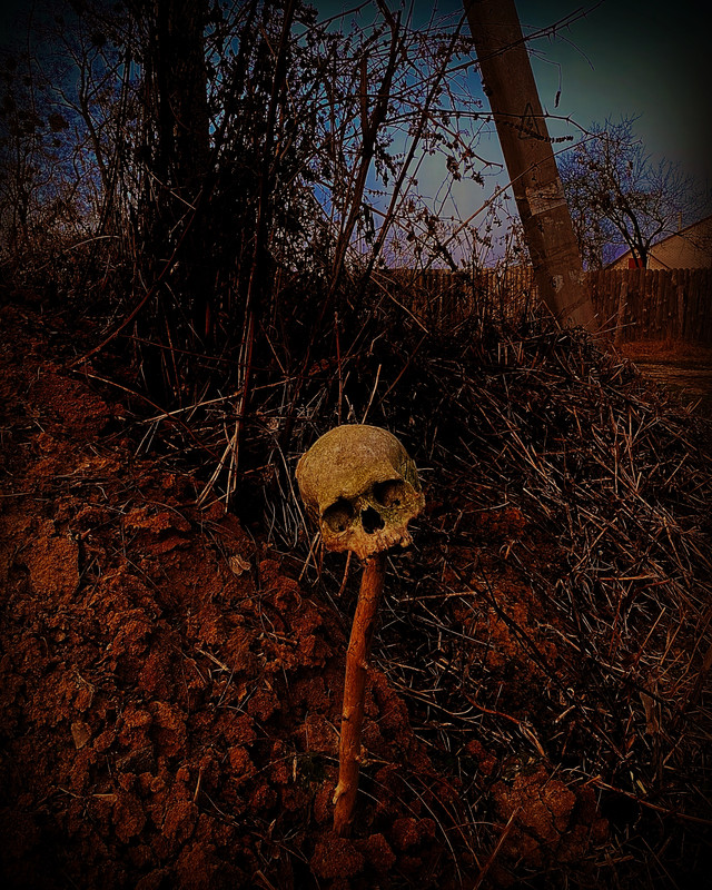 3BC004C1-B859-42D7-A54C-4B40C33C3D63