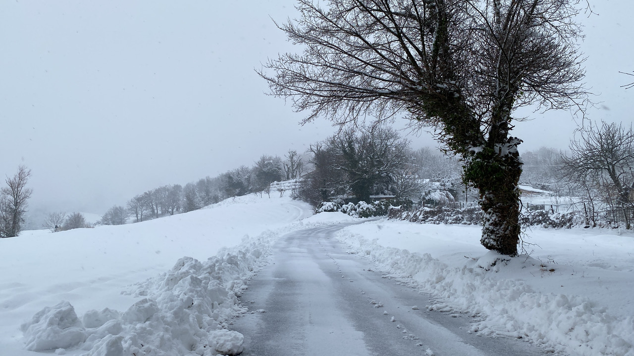 C80116E9-5258-449C-A579-B0004A845C9D